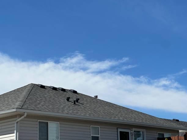 Best Roof Coating and Sealing  in White Oak, PA